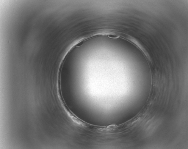 X0000062150861200512161232