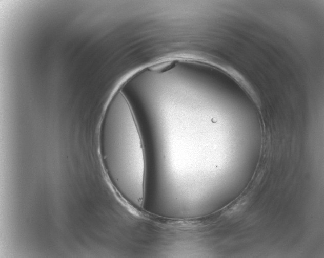 X0000062150862200512161232