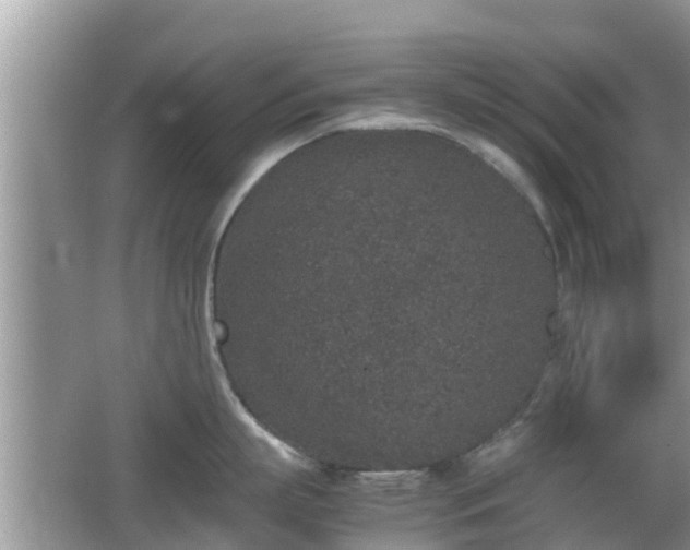 X0000062150863200512161232