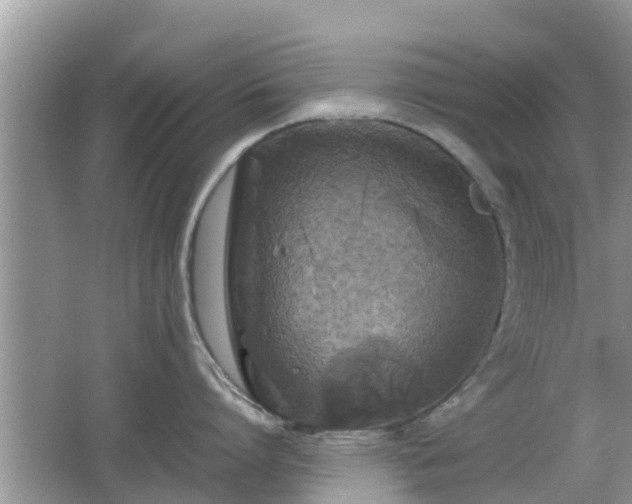 X0000062150864200512161232