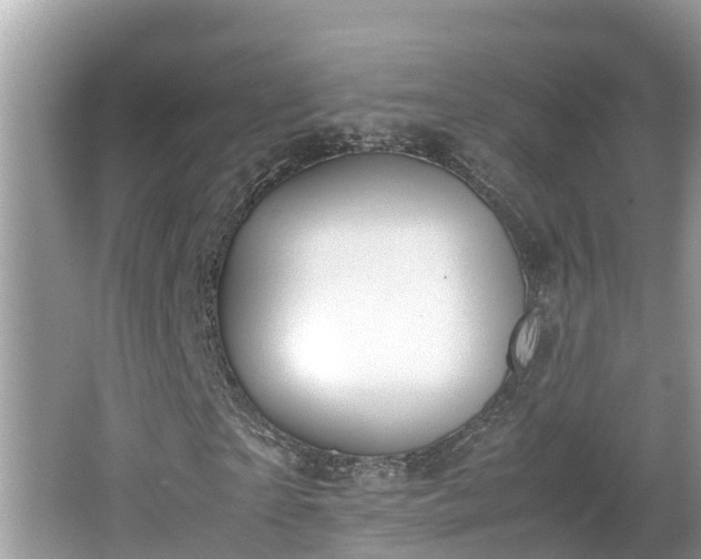 X0000062150865200512161232