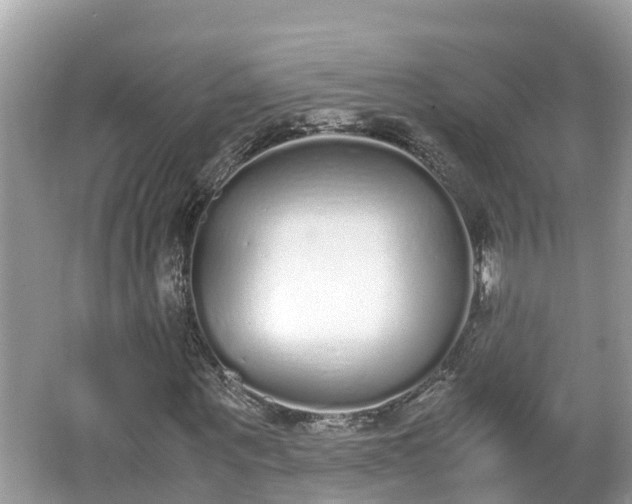 X0000062150867200512161232