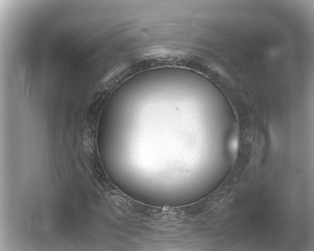 X0000062150869200512161232