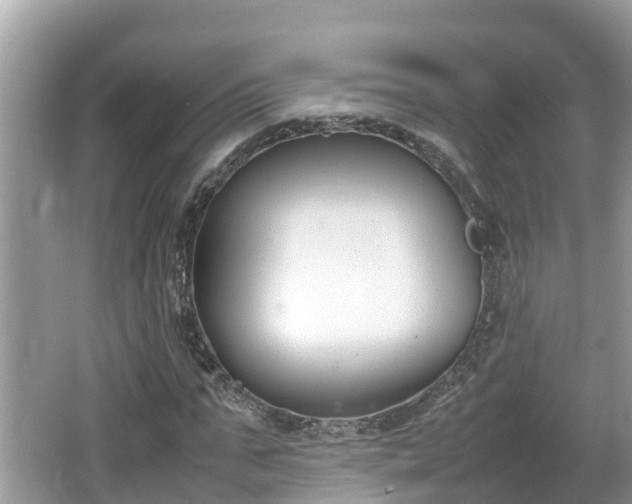 X0000062150871200512161231