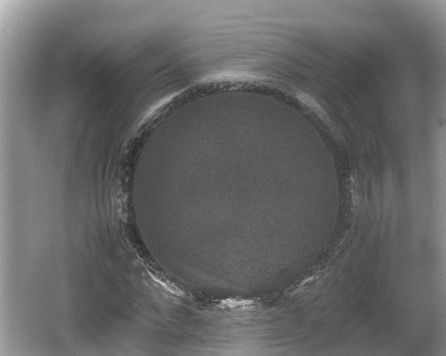 X0000062150872200512161231