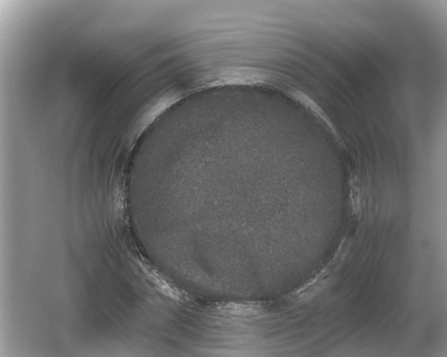 X0000062150874200512161231