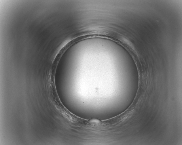 X0000062150875200512161231