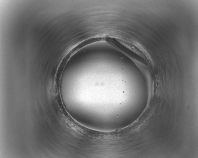 X0000062150876200512161231