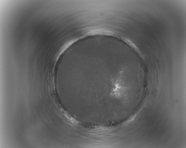 X0000062150877200512161231