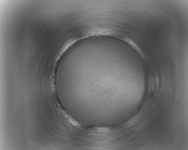 X0000062150878200512161231