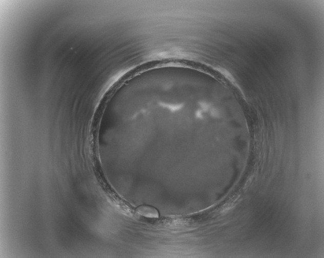 X0000062150879200512161231