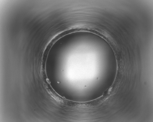 X0000062150880200512161231