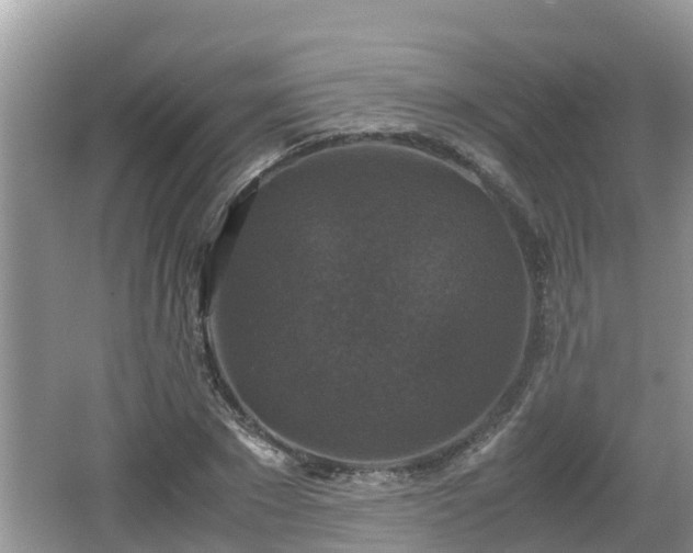 X0000062150881200512161231