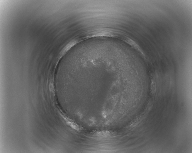 X0000062150882200512161231