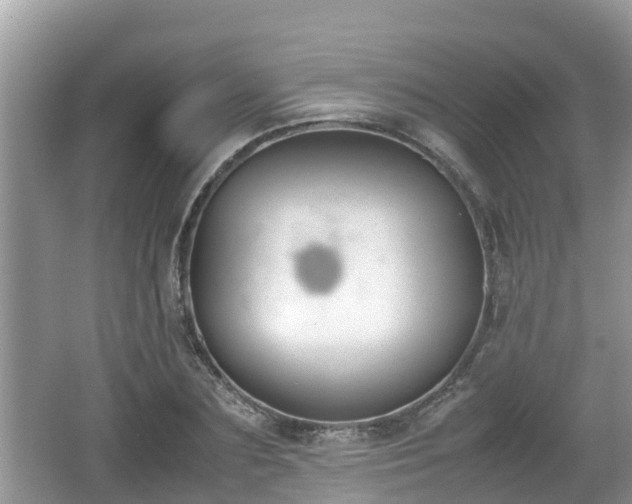 X0000062150883200512161231