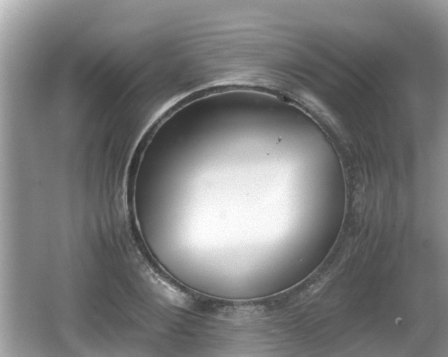 X0000062150884200512161231