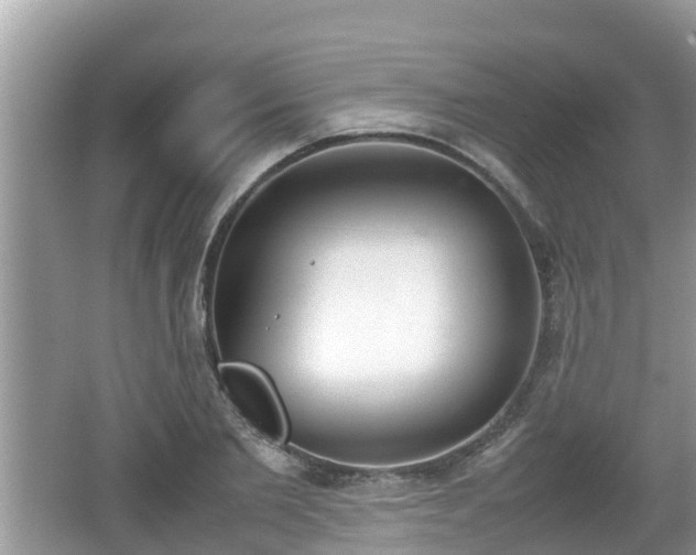 X0000062150885200512161231