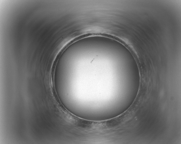 X0000062150887200512161231