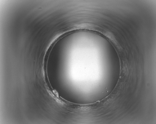 X0000062150888200512161231