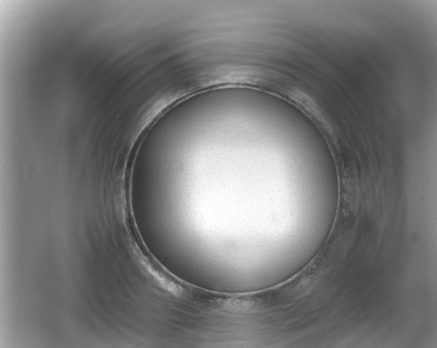 X0000062150890200512161231