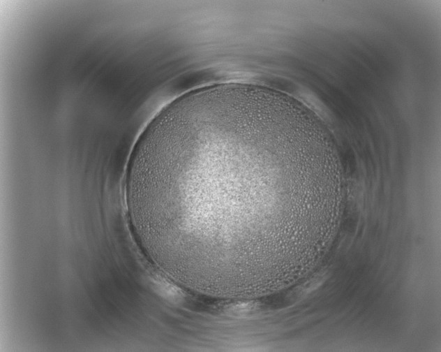 X0000062150891200512161231