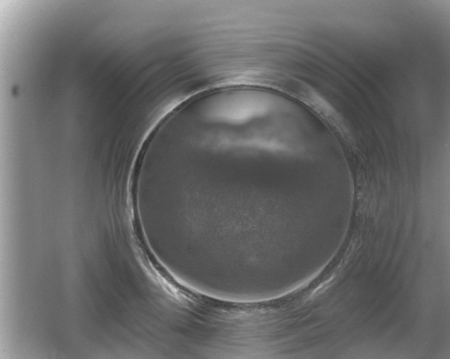 X0000062150892200512161231