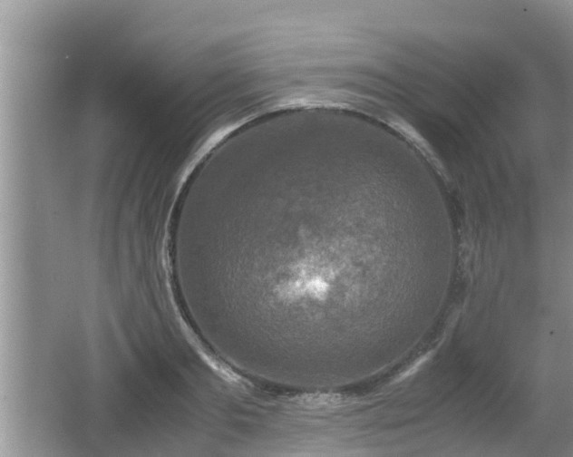 X0000062150893200512161231