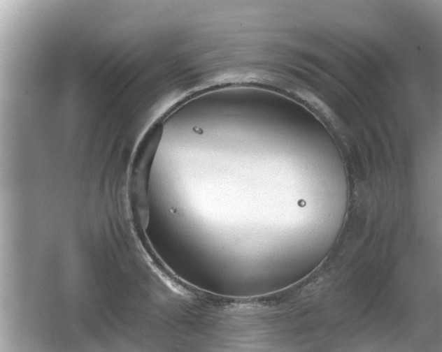 X0000062150894200512161231