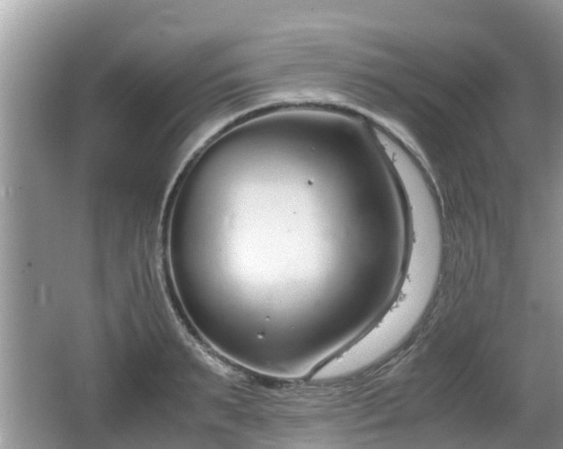 X0000062150895200512161231