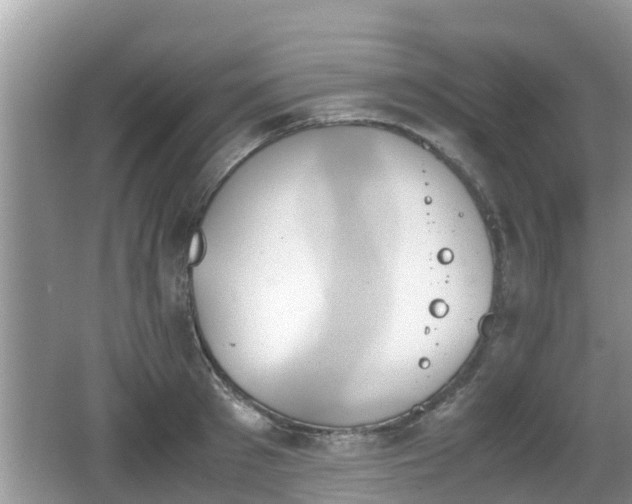 X0000062150897200512161231