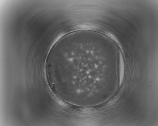 X0000062150899200512161231