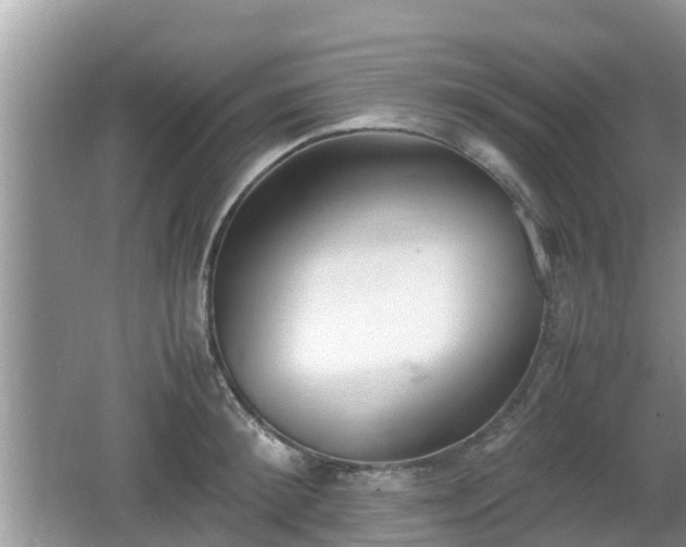 X0000062150900200512161231