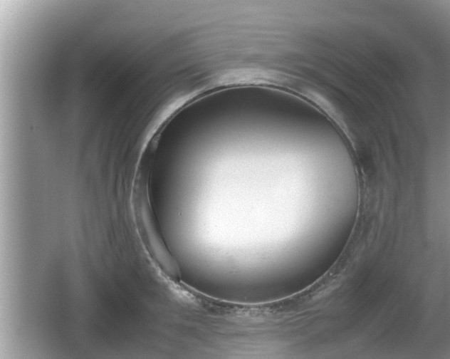 X0000062150901200512161231