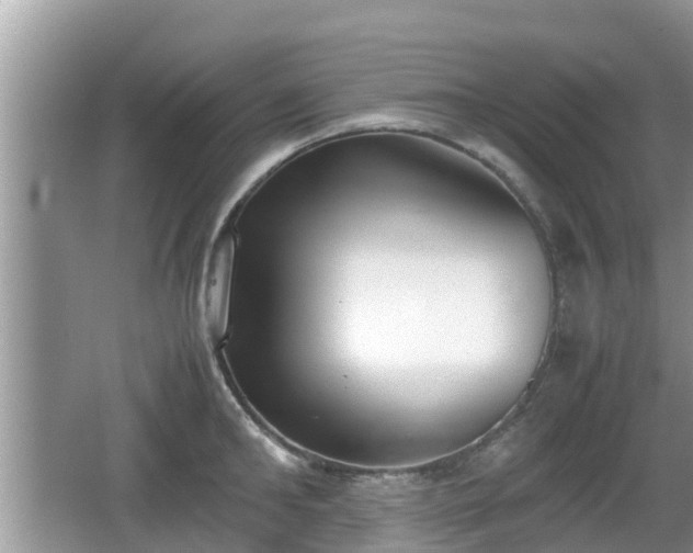 X0000062150902200512161231