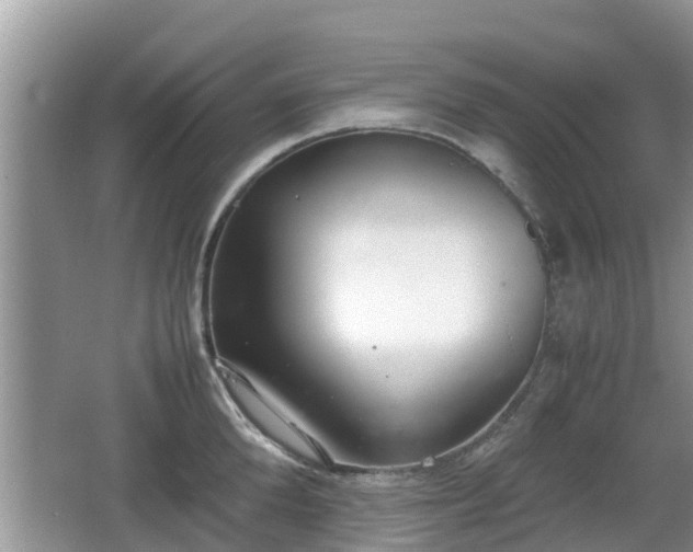 X0000062150904200512161231