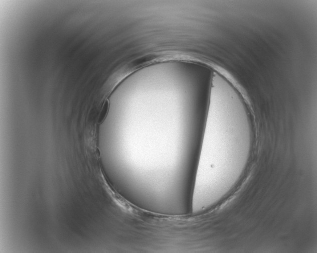 X0000062150905200512161231