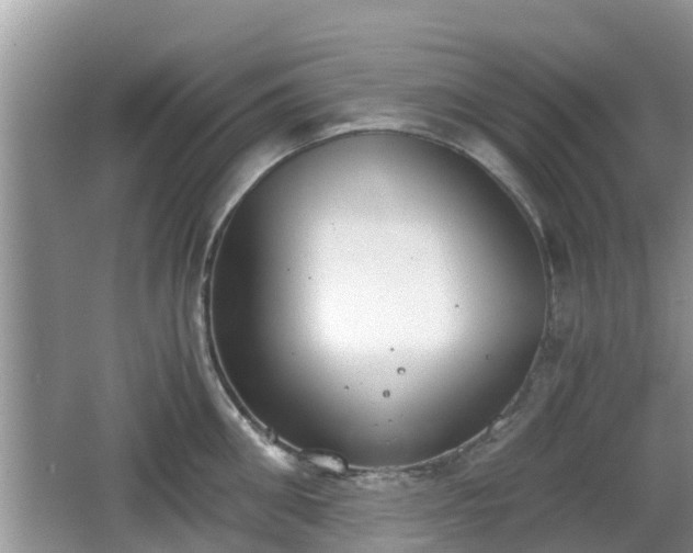 X0000062150906200512161231