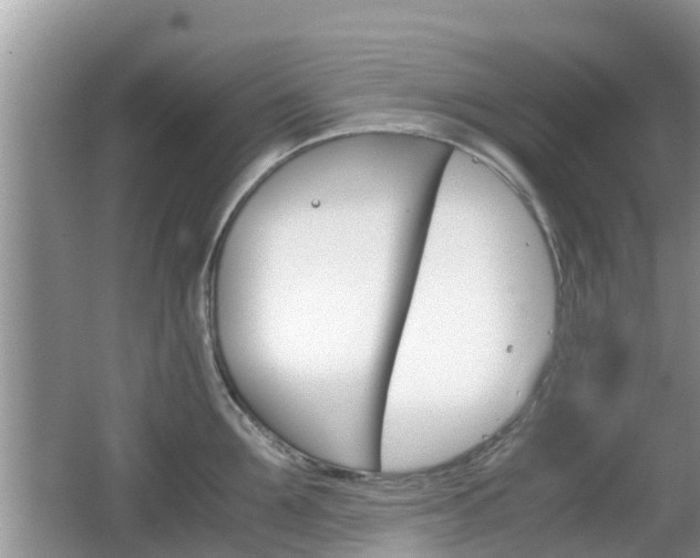 X0000062150907200512161231