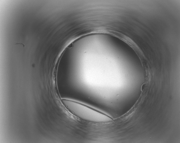 X0000062150908200512161231