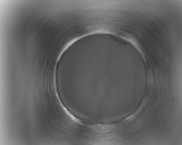 X0000062150910200512161231