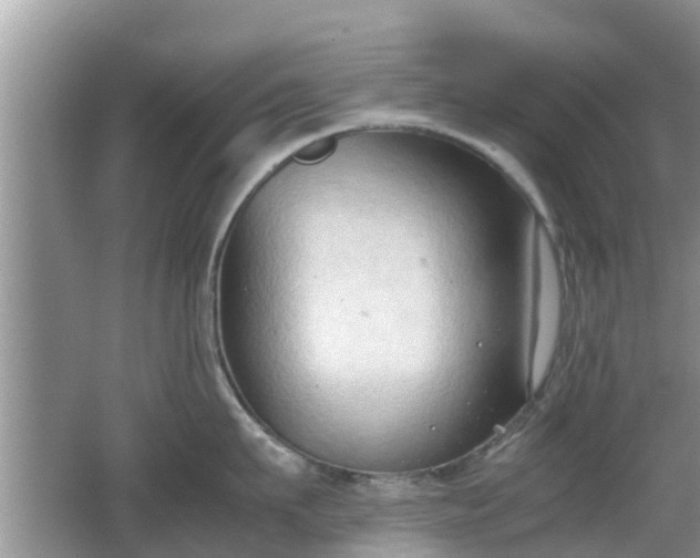 X0000062150911200512161231