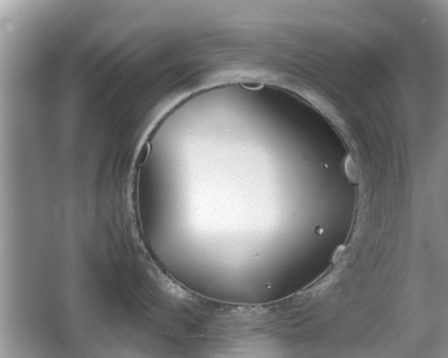 X0000062150912200512161231