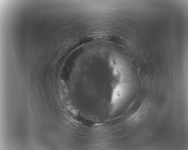 X0000062150913200512161230