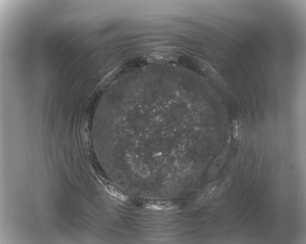 X0000062150915200512161230