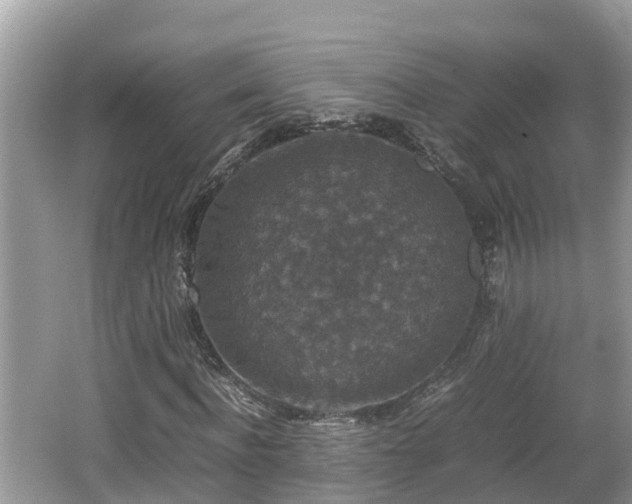 X0000062150916200512161230