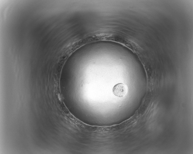 X0000062150917200512161230