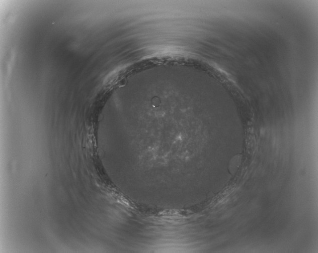 X0000062150918200512161230