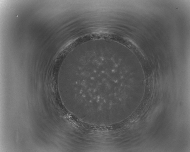 X0000062150919200512161230