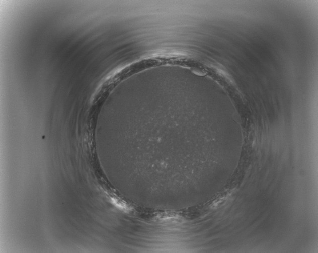 X0000062150920200512161230