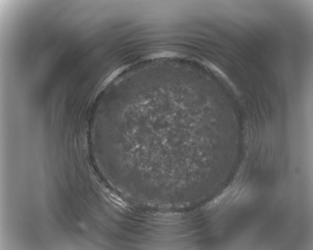 X0000062150921200512161230